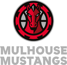 Mustang basket - Mulhouse